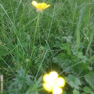 Meet your Posher, Francisca